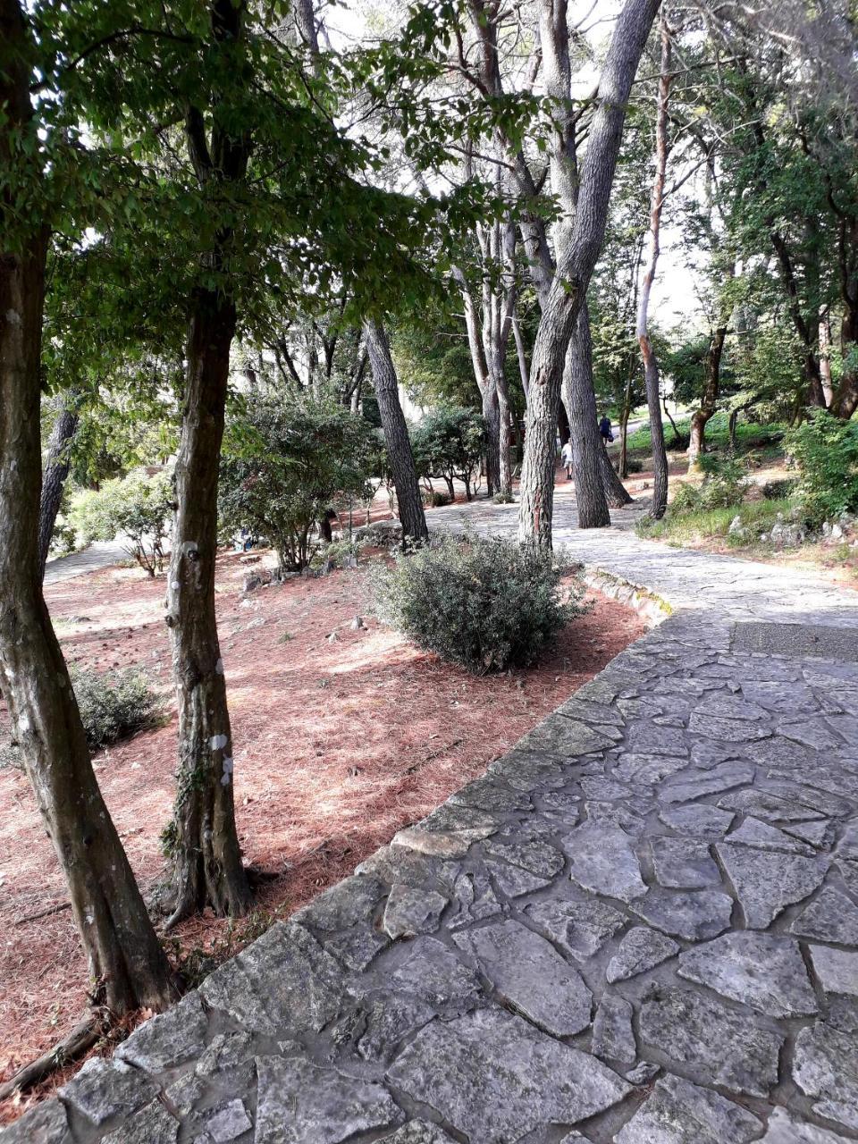 Apartments And Rooms Haludovo - Ribarsko Selo Малинска Екстериор снимка