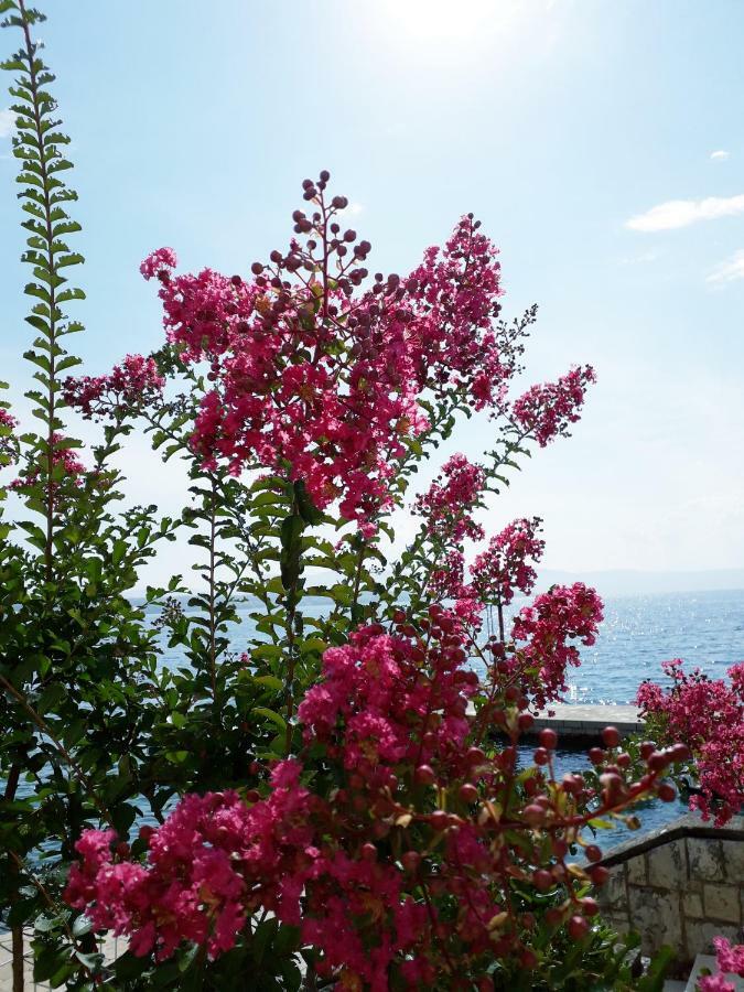 Apartments And Rooms Haludovo - Ribarsko Selo Малинска Екстериор снимка